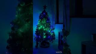 Christmas  Tree  #christmas #tree #cool #light #up #trend #enjoy #sub #like #viral #shorts