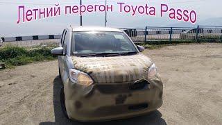 Перегон из Владивостока. Toyota Passo XL 2019