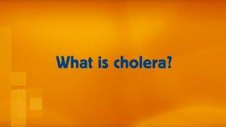 WHO: Cholera - Questions and answers (Q&A)