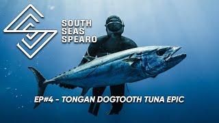 SOUTH SEAS SPEARO - Tongan Dogtooth Tuna Spearfishing