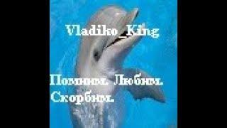 Минута молчания в честь памяти администратора Vladiko_King | Absolute RP-1 Platinum