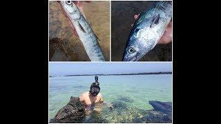 Канарские острова. Лансароте. Рыбалка и сноркельн. Lanzarote. Snorkeling