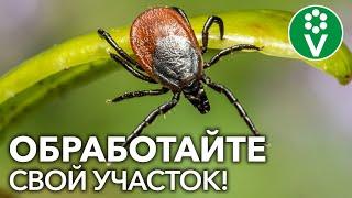 ЗАЩИТА ОТ КЛЕЩЕЙ НА 100%! Обработайте свой участок от клещей, защитите себя и животных