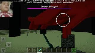 Minecraft: The Battle of Me And The Ender Dragon: Rokas the gamer