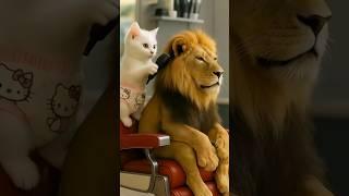 Lion Went to a Kitten Barber… BIG Mistake! ️ Funny AI Animation