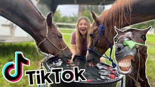 Recreating EQUESTRIAN TIKTOKS! PART 4!!