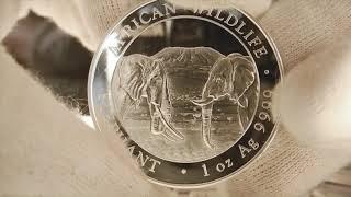 Серебряная монета Elephant 2020 Somali Silver Coin 1 Oz