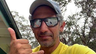 Latest Updates from Maui: Petition to delay, Green leaves on the Banyan, New Drone Footage