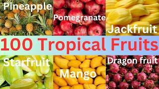 100 Tropical Fruit Names || 100 Essential Fruits for Everyone