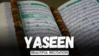 The most beautiful recitation of Surah Yaseen with Uzbek translation || AL-IHSAN TV