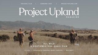 Hunting Mearns, Scaled, and Gambel's Quail in Arizona - All Wild - A Project Upland Original Film