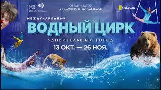 Водный Цирк - Удивительный город