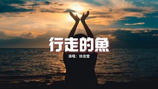 徐佳瑩 - 行走的魚『寫一首歌給你聽，來致敬你的陰影，人們傳頌勇氣 而我可不可以愛你哭泣的心。』【動態歌詞MV】