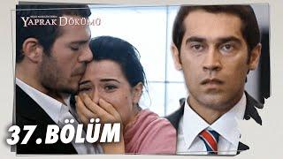 Yaprak Dökümü 37. Bölüm - Full Bölüm