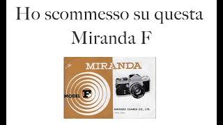 Ho scommesso su questa Miranda