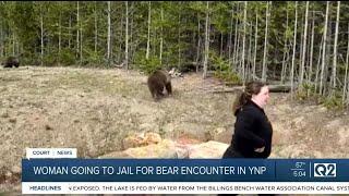 Woman sentenced after grizzly bear encounter in Yellowstone National Park