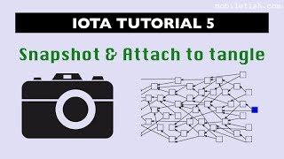 IOTA tutorial 5: Snapshot and Attach to tangle