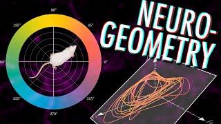 Neural manifolds - The Geometry of Behaviour