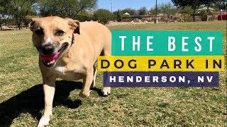 Dog Parks in Henderson NV: Heritage Bark Park (Our Fav)
