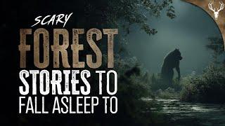 11 Scary Forest Stories to Fall Asleep To