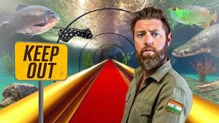 Private Tour of India’s Best Secret Aquarium