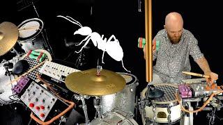 Arthur Dubois : THE ANT