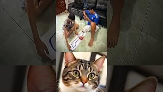 Fun  #cat #memes #funny #trending