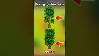 Green Rain Trees - SDU  #stardewvalley #stardew
