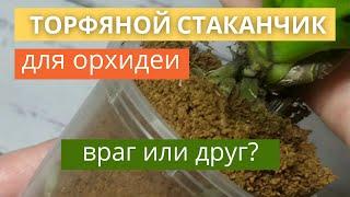  Торфяные стаканчики – враг или друг орхидей? Мой эксперимент длиной почти в год!