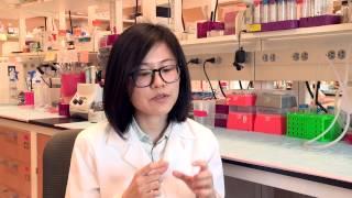 See Why Di Wu Loves Medical Science