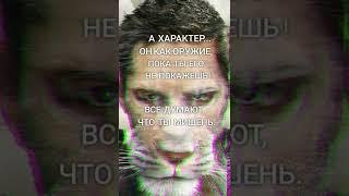#характер #мишень