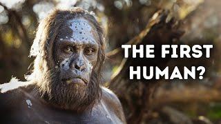 Evolution of Humans Documentary