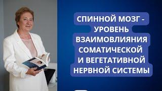 Сегментарный уровень поражения нервной системы. Вебинар с проф. Васильевой