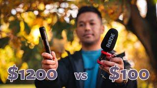 $100 vs $1200 microphone | Rode VideoMic Go II vs Sennheiser MKH 50