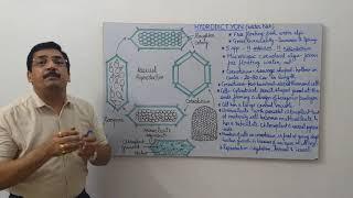 Hydrodictyon -1- General & Asexual Reproduction