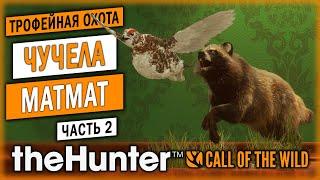 ТРОФЕЙНАЯ ОХОТА И КОМПОЗИЦИИ ИЗ ЧУЧЕЛ ОТ МАТМАТ! | theHunter Call of the Wild  | (часть 2)