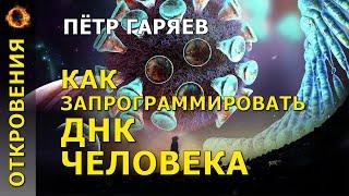 Как запрограммировать ДНК человека? Пётр Гаряев