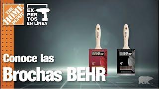 Conoce las brochas Behr | Pinturas | The Home Depot Expertos