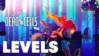 The story behind Dead Cells - Motion Twin | Levels