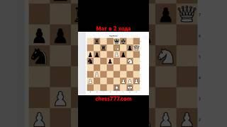 Мат в 2 хода. Решишь? Отрывок с занятия. #chess777 #chess #шахматы #топ #обучение #дети