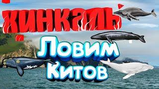 Стрим РР 3. Фармим китов