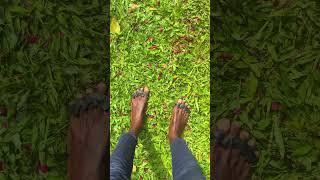 Relieve Foot Pressure Naturally with Toe Separators #freeyoursoles