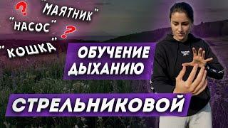 Дыхательная гимнастика СТРЕЛЬНИКОВОЙ