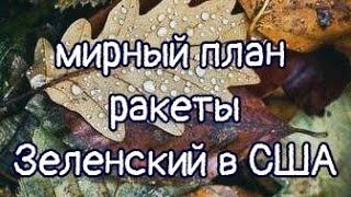 ОСЕННИЙ МИРНЫЙ ПЛАН ЗЕЛЕНСКОГОпрогноз ТАРО: с чем вернётся из командировки в США