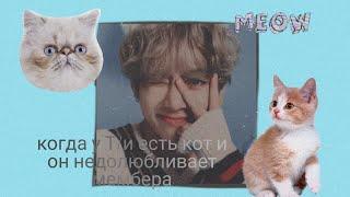 Реакция бтс,когда у Т/и есть кот и он недолюбливает мембера(макне-лайн)