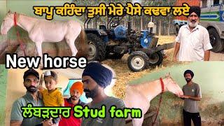 ਤਿੰਨ ਜਾਨਵਰ ਹੋ ਗਏ ਹੁਣ Stud farm ਬਣ ਗਿਆ/ ਬਾਪੂ ਨਾਲ ਬੈਸ ਬਾਜੀ ਹੋ ਗਈ / ਕਟਰ ਦਾ ਕੰਮ ਖਤਮ / @jaggamahlan