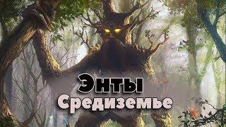 Энты (Властелин Колец, Хоббит, Средиземье) Расы и народы Средиземья. Энты Толкина - кто они?