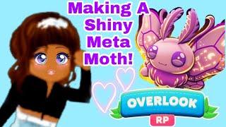 Making The New Meta Moth Pet Shiny in Roblox Overlook Bay!