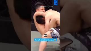 The Guillotine Slip That Shook the Cage #mma