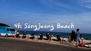 4k Songjeong beach with Surfing and Romance